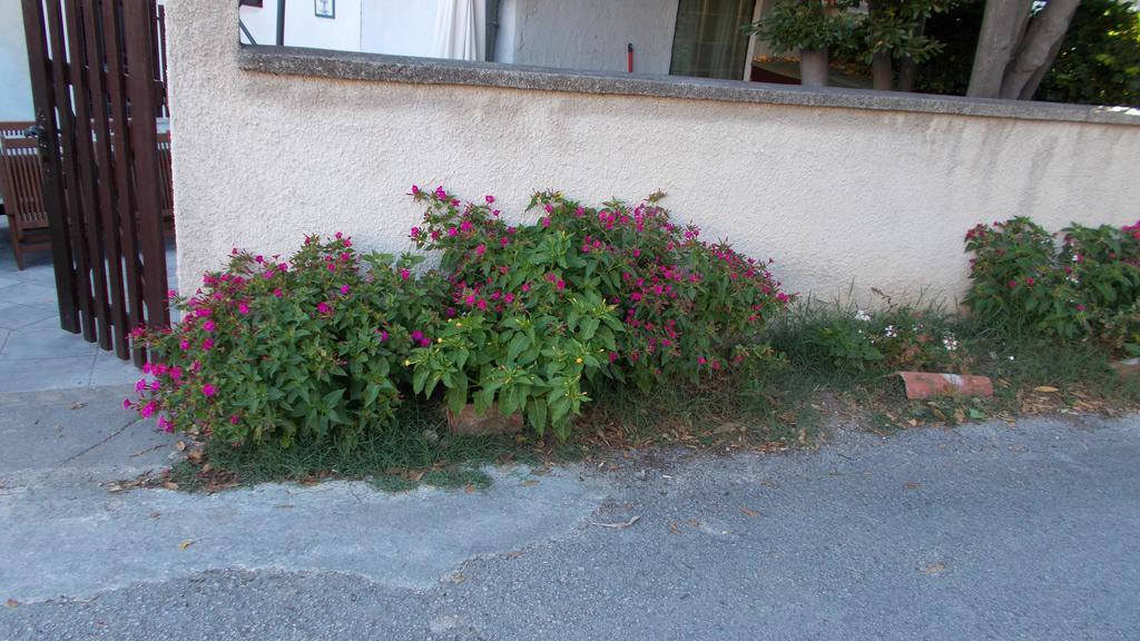 Guest House Accommodation Rupine Premantura Exteriér fotografie